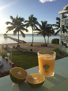 Fresh juice + stellar view, anyone?